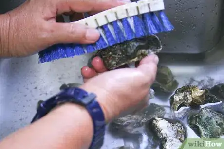 Immagine titolata Cook Oysters Step 1