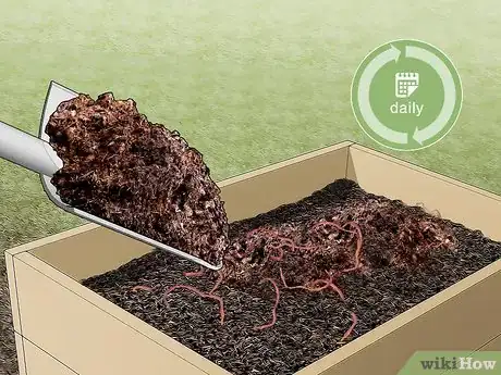 Immagine titolata Start a Worm Farm for Profit Step 6