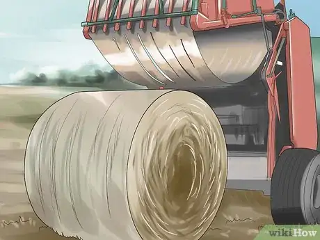 Immagine titolata Bale Hay Step 12