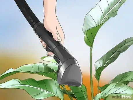 Immagine titolata Get Rid of Earwigs Step 6