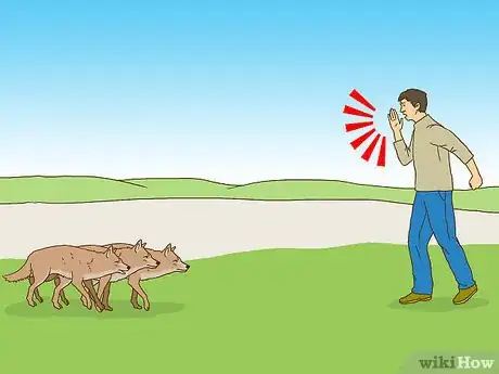 Immagine titolata Act when Near a Coyote Step 7