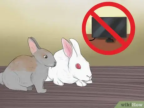 Immagine titolata Catch a Pet Rabbit Step 2