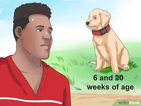 Immagine titolata Tell if Your Dog Has Parvo Step 1