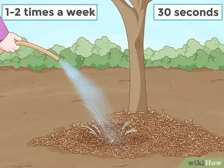 Immagine titolata Replant a Tree Step 14