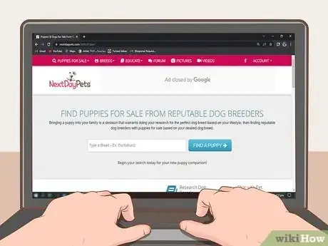 Immagine titolata Sell Puppies Step 7