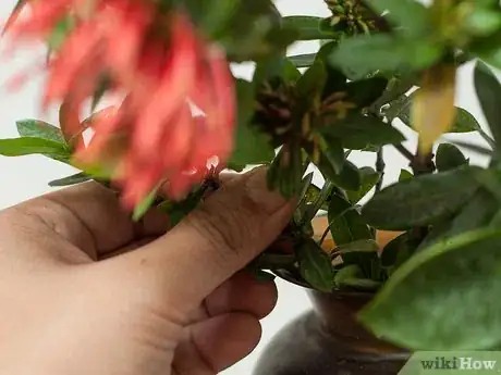 Immagine titolata Make Floral Craft Arrangements Step 9