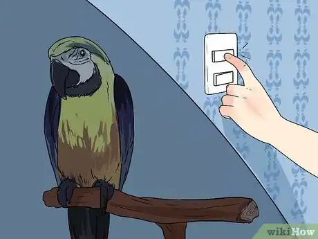 Immagine titolata Train Parrots to Make Less Noise Step 8