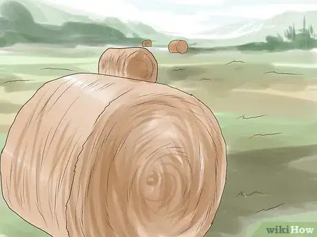 Immagine titolata Bale Hay Step 18