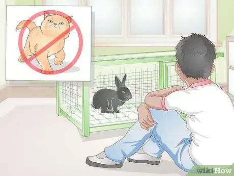 Immagine titolata Earn Your Rabbit's Trust Step 1