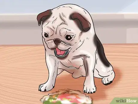 Immagine titolata Tell if Your Dog Has Parvo Step 5