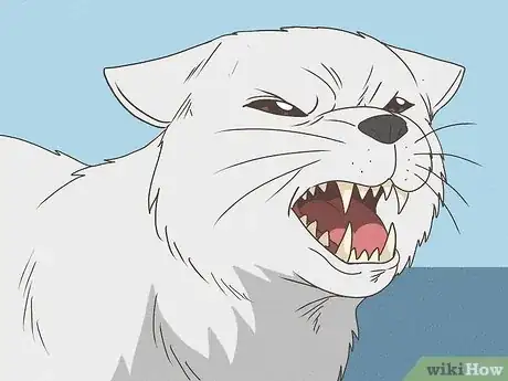 Immagine titolata Know Your Cat's Age Step 7