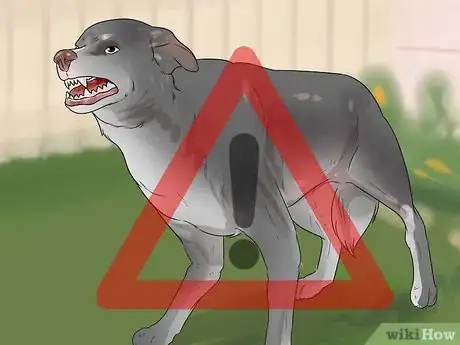 Immagine titolata Tell if a Dog Is in Pain Step 6