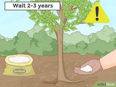 Immagine titolata Replant a Tree Step 17