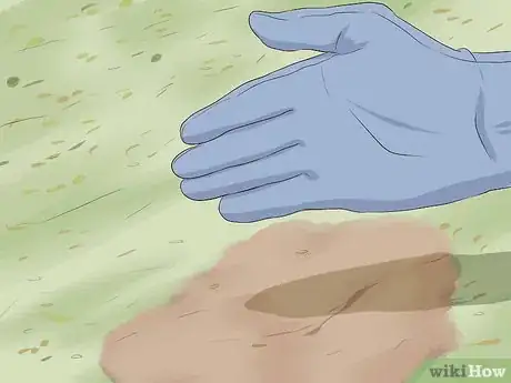 Immagine titolata Level a Bumpy Lawn Step 16