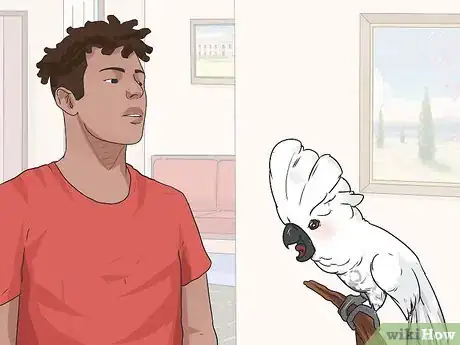 Immagine titolata Teach Your Bird to Talk Step 1