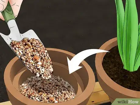 Immagine titolata Grow Tulips in Pots Step 16