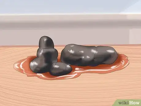 Immagine titolata Tell if Your Dog Has Parvo Step 6