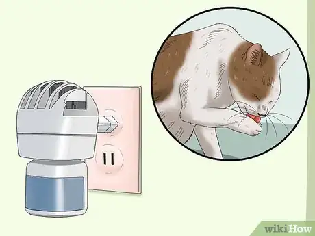 Immagine titolata Stop a Cat from Pulling Its Hair Out Step 10