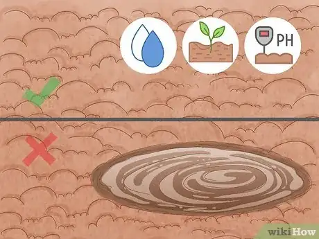 Immagine titolata Plant a Sweet Shrub Step 3