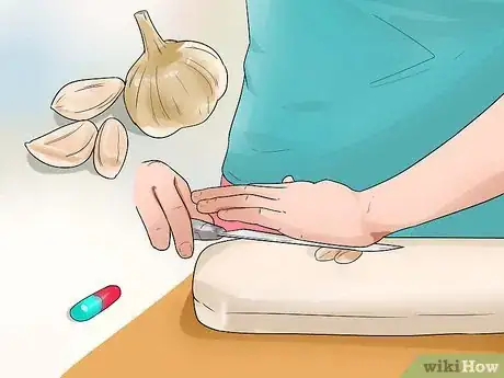 Immagine titolata Keep Fleas Off Dogs Step 6