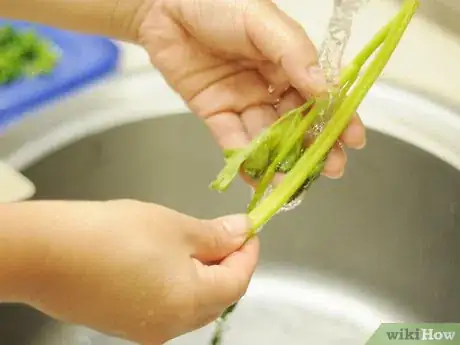 Immagine titolata Make Celery Soup Step 1