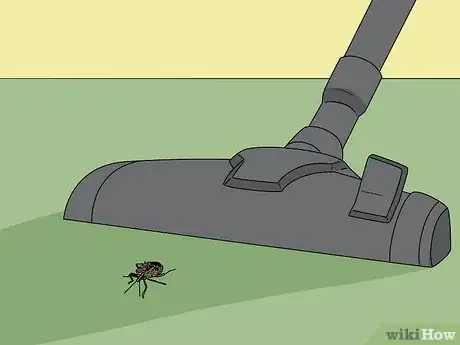 Immagine titolata Do Pest Control With a Vacuum Cleaner Step 8