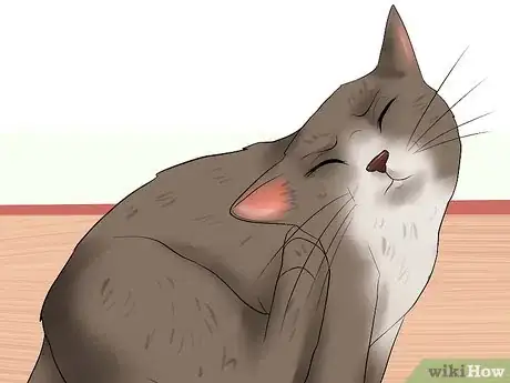 Immagine titolata Know if a Cat Is Stressed Step 5