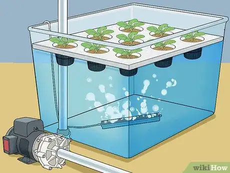 Immagine titolata Build a Homemade Hydroponics System Step 10