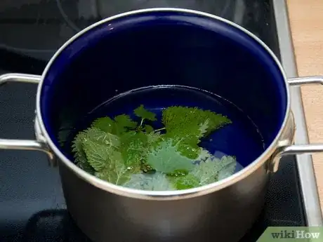 Immagine titolata Make Nettle Tea Step 8