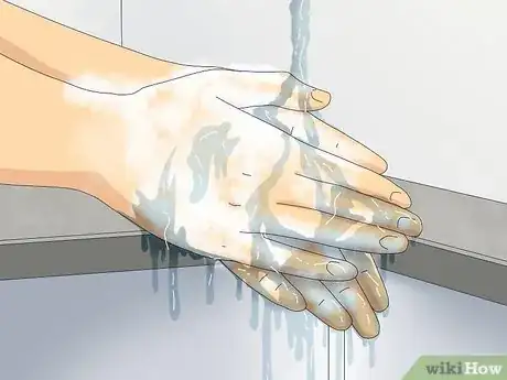 Immagine titolata Hold a Snake Step 15