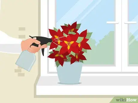 Immagine titolata Care for Poinsettias Step 9