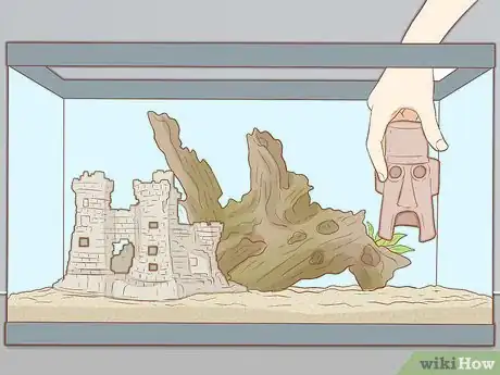 Immagine titolata Add Fish to a New Tank Step 16