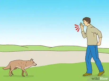 Immagine titolata Act when Near a Coyote Step 3