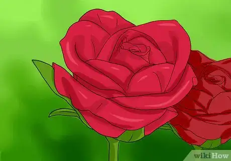 Immagine titolata Keep Rose Petals Fresh Step 1