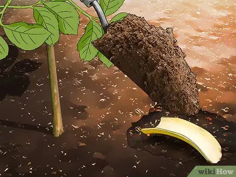 Immagine titolata Keep Aphids Away Using Eco Friendly Methods Step 8