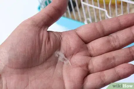 Immagine titolata Treat Your Sick Hamster Step 1Bullet6