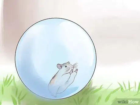 Immagine titolata Keep a Happy Hamster Step 13