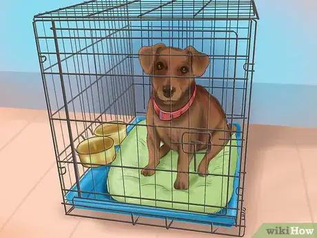 Immagine titolata Crate Train Your Dog or Puppy Step 17