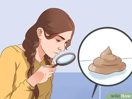 Immagine titolata Check Your Health by Poop or Stool Colors Step 2