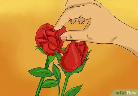 Immagine titolata Keep Rose Petals Fresh Step 5