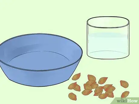 Immagine titolata Germinate Tree Seeds Step 5