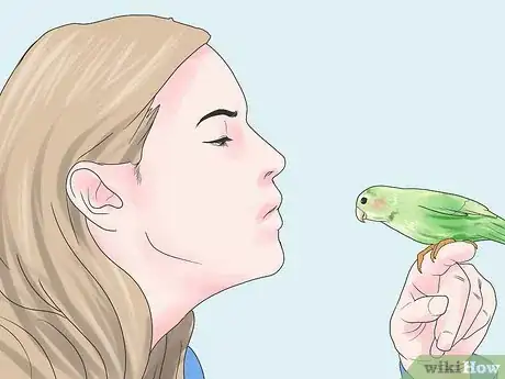 Immagine titolata Amuse Your Parakeet or Other Bird Step 8