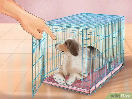 Immagine titolata Crate Train Your Dog or Puppy Step 20