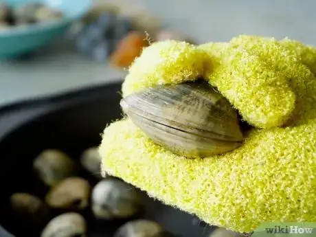 Immagine titolata Shuck Clams Step 6