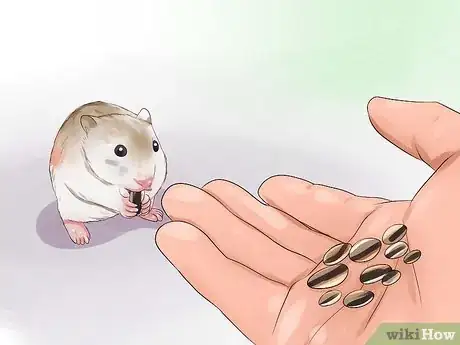 Immagine titolata Keep a Happy Hamster Step 12