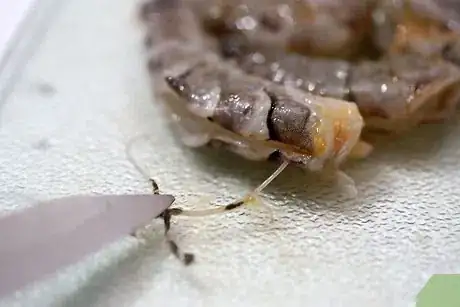 Immagine titolata Steam Shrimp Step 1Bullet4