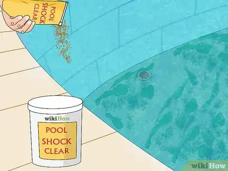 Immagine titolata Get Rid of Green Water in a Swimming Pool Step 5