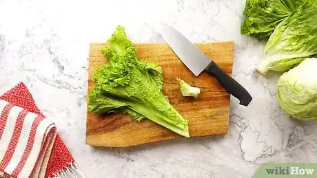 Immagine titolata Wash Lettuce Step 1