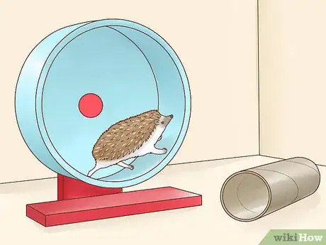 Immagine titolata Take Care of a Hedgehog Step 20