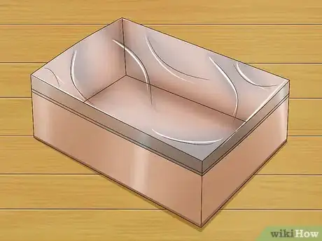 Immagine titolata Catch a Lizard Without Using Your Hands Step 5
